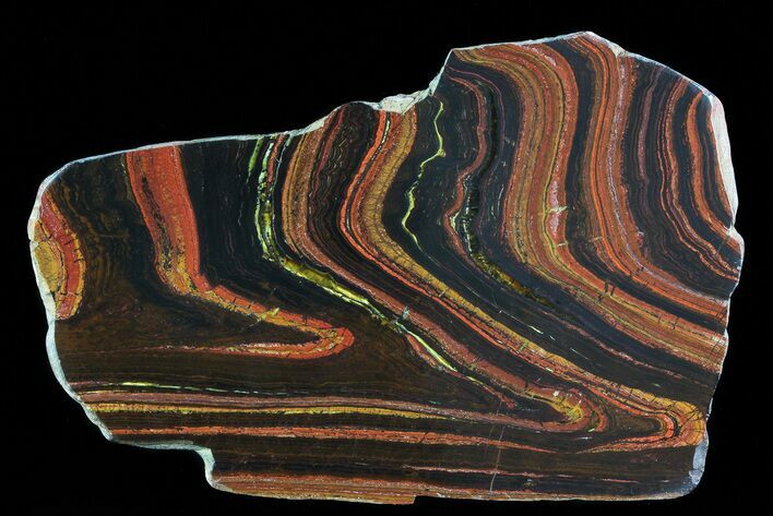 Polished Tiger Iron Stromatolite - ( Billion Years) #72914